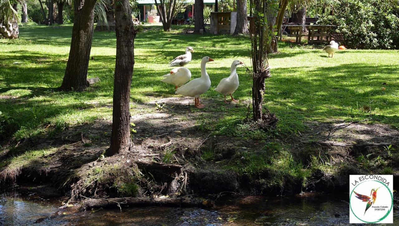 Chacra La Escondida Villa โกโลเนีย เดล ซากราเมนโต ภายนอก รูปภาพ